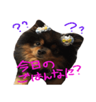 だいすきいちびー（個別スタンプ：16）