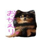 だいすきいちびー（個別スタンプ：27）