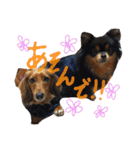 だいすきいちびー（個別スタンプ：32）