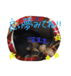 だいすきいちびー（個別スタンプ：36）
