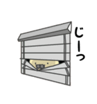 僕のヒーローアザラシ（個別スタンプ：19）