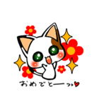 みけちゃ（個別スタンプ：1）