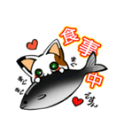 みけちゃ（個別スタンプ：11）