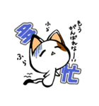 みけちゃ（個別スタンプ：40）