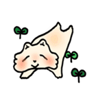 ふわもこしろ（個別スタンプ：30）