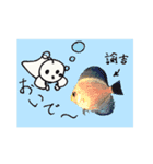 PRML-kun sticker（個別スタンプ：21）