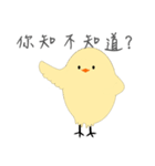 Little yellow chicken（個別スタンプ：20）