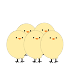 Little yellow chicken（個別スタンプ：21）