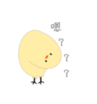 Little yellow chicken（個別スタンプ：30）