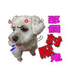 Blind dog FatLily 2（個別スタンプ：2）