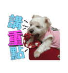 Blind dog FatLily 2（個別スタンプ：4）