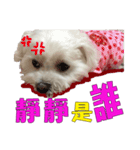 Blind dog FatLily 2（個別スタンプ：6）