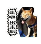 柴犬大好き（個別スタンプ：2）