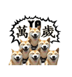 柴犬大好き（個別スタンプ：5）