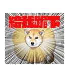 柴犬大好き（個別スタンプ：18）