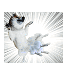 柴犬大好き（個別スタンプ：20）