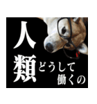 柴犬大好き（個別スタンプ：36）