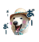 はちです☆（個別スタンプ：12）