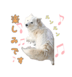 はちです☆（個別スタンプ：16）