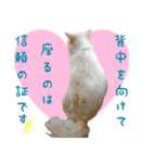 はちです☆（個別スタンプ：35）
