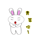 The Q Rabbit（個別スタンプ：14）