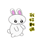 The Q Rabbit（個別スタンプ：17）