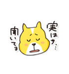名犬らんまる（個別スタンプ：1）