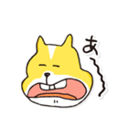 名犬らんまる（個別スタンプ：3）