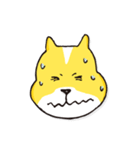 名犬らんまる（個別スタンプ：10）