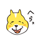 名犬らんまる（個別スタンプ：12）