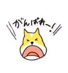 名犬らんまる（個別スタンプ：17）