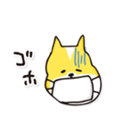 名犬らんまる（個別スタンプ：22）