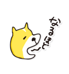 名犬らんまる（個別スタンプ：31）