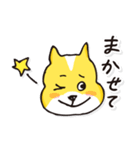 名犬らんまる（個別スタンプ：35）