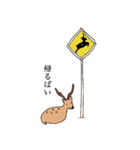 けだるげな鹿（個別スタンプ：13）
