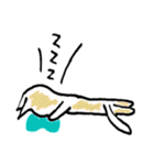日常使い～できるねこ（個別スタンプ：6）