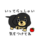 ブラックタンの子犬2（個別スタンプ：1）