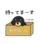 ブラックタンの子犬2（個別スタンプ：6）