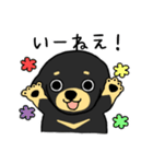 ブラックタンの子犬2（個別スタンプ：11）