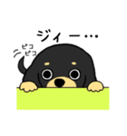 ブラックタンの子犬2（個別スタンプ：36）