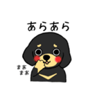 ブラックタンの子犬2（個別スタンプ：39）