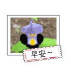 Wildflowers (chinese)（個別スタンプ：9）