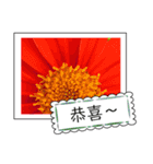 Wildflowers (chinese)（個別スタンプ：16）