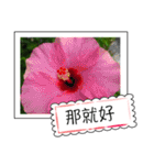 Wildflowers (chinese)（個別スタンプ：31）