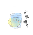 Chick Pipi（個別スタンプ：1）