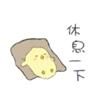 Chick Pipi（個別スタンプ：2）