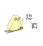 Chick Pipi（個別スタンプ：3）