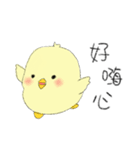 Chick Pipi（個別スタンプ：5）