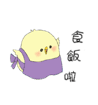 Chick Pipi（個別スタンプ：7）