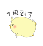 Chick Pipi（個別スタンプ：11）
